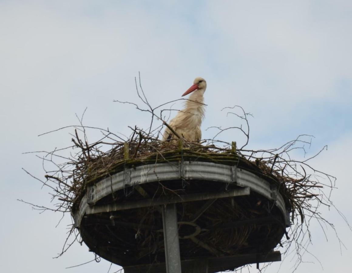 דירות ביסקאו Storchennest An Der Spree In Radinkendorf מראה חיצוני תמונה