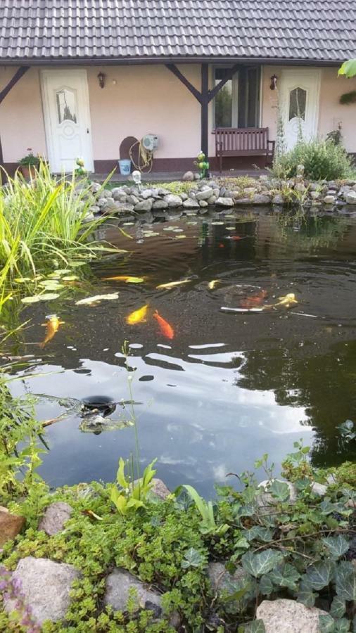 דירות ביסקאו Storchennest An Der Spree In Radinkendorf מראה חיצוני תמונה